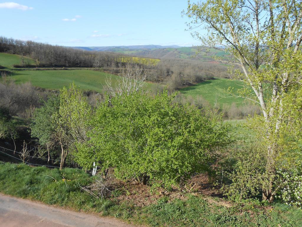 Gite Des Monts Saint-Izaire Kültér fotó