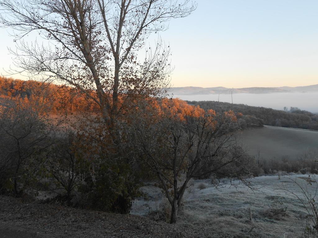 Gite Des Monts Saint-Izaire Kültér fotó
