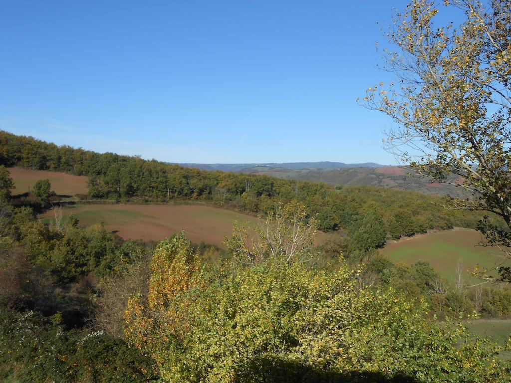 Gite Des Monts Saint-Izaire Kültér fotó