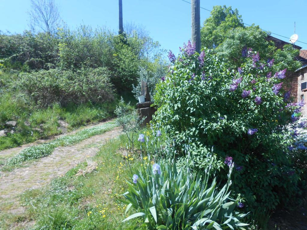 Gite Des Monts Saint-Izaire Kültér fotó