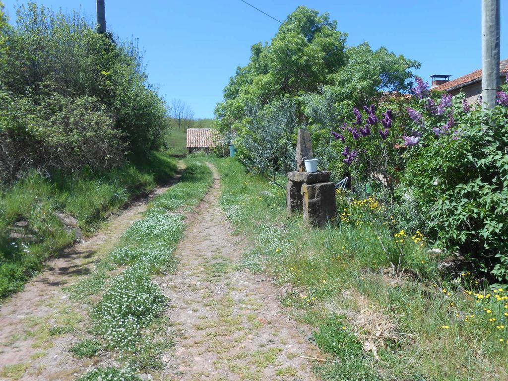Gite Des Monts Saint-Izaire Kültér fotó