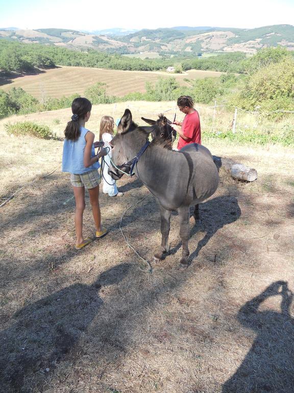 Gite Des Monts Saint-Izaire Kültér fotó