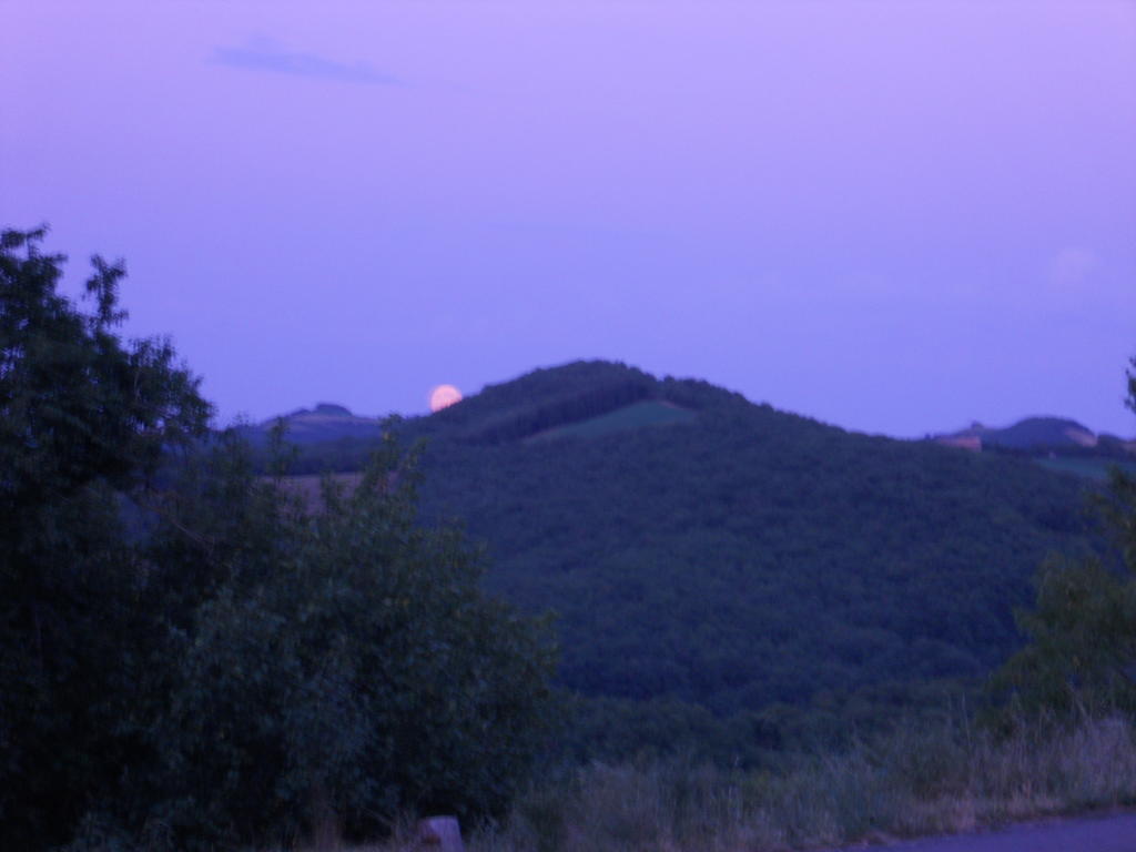 Gite Des Monts Saint-Izaire Kültér fotó