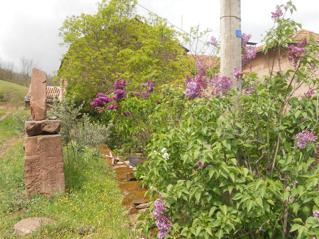 Gite Des Monts Saint-Izaire Kültér fotó