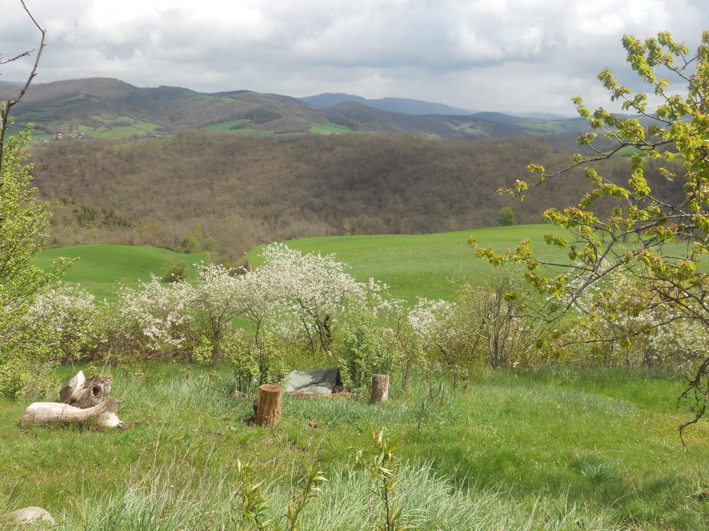 Gite Des Monts Saint-Izaire Kültér fotó